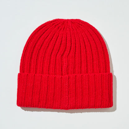 Team Color Logo Beanie