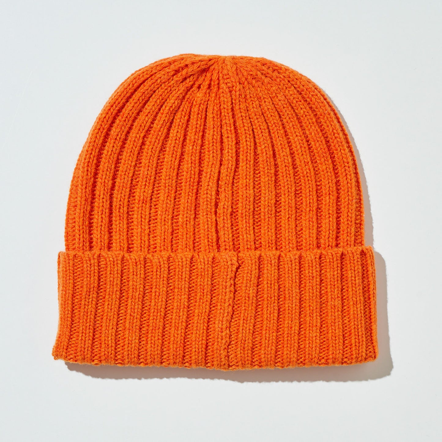 Team Color Logo Beanie